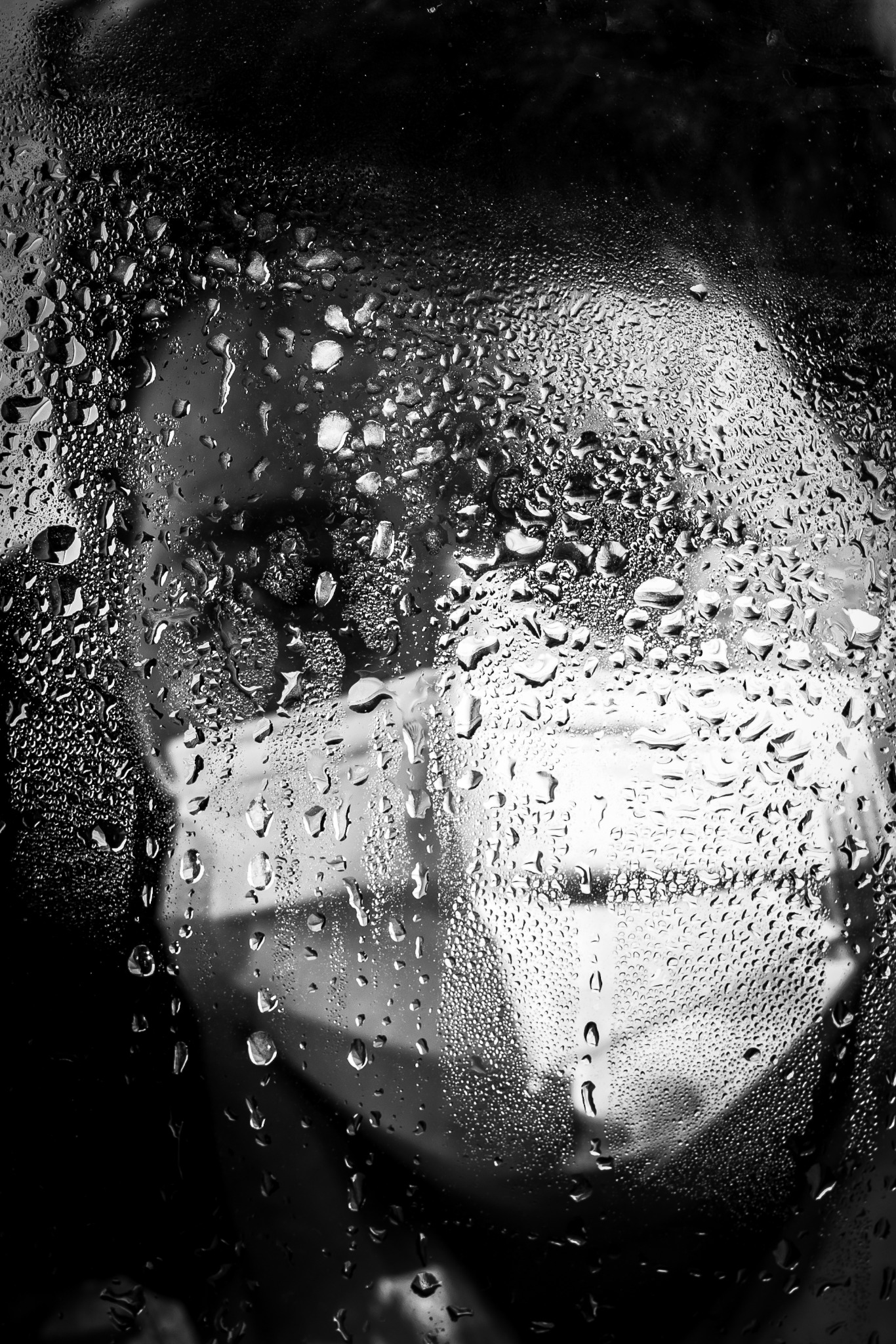 Photographie de l’exposition Derrière la vitre